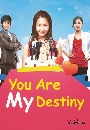 dvd  еѡԢԵ You Are My Destiny (Ѻ) 30 蹨 **dvdҤҶ١