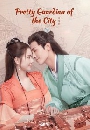 Pretty guardian of the city 2022 «͹ 5 dvd- ** Ѻ