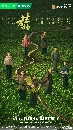 dvd  This Thriving Land (2025) Թᴹѧ 7 dvd- ** Ѻ