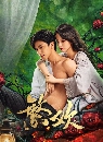 dvd «չ Lust and Lies (2025) ¾ѡ 3 dvd- **Ѻ