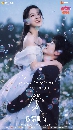 dvd �͡���� 2026 Never-Ending Summer Ĵ���͹���ѹ��� 6 dvd-��** �Ѻ��